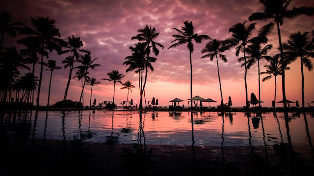 Beach Sunset
