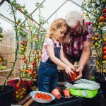 £3,000 in savings? Here’s how it could be the starting point for a life-changing ISA