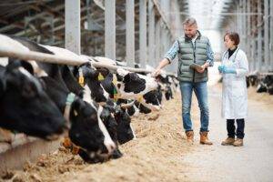 The US is pushing for Britain to open up its agricultural markets to US traders as part of a new economic agreement that would fall just short of a free trade agreement.
