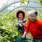 How to target a £1m SIPP by growing contributions over time