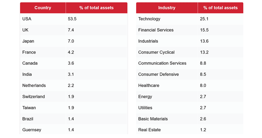 The Alliance Witan investment trust portfolio