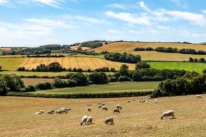 Agricultural technology startup Wild Bioscience has secured £45 million in Series A funding led by the Ellison Institute of Technology (EIT), the research organisation founded by Larry Ellison, chairman and chief technology officer of Oracle.