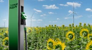 As the UK strives to achieve net zero, the biofuel sector serves as a crucial foundation for sustainable growth.