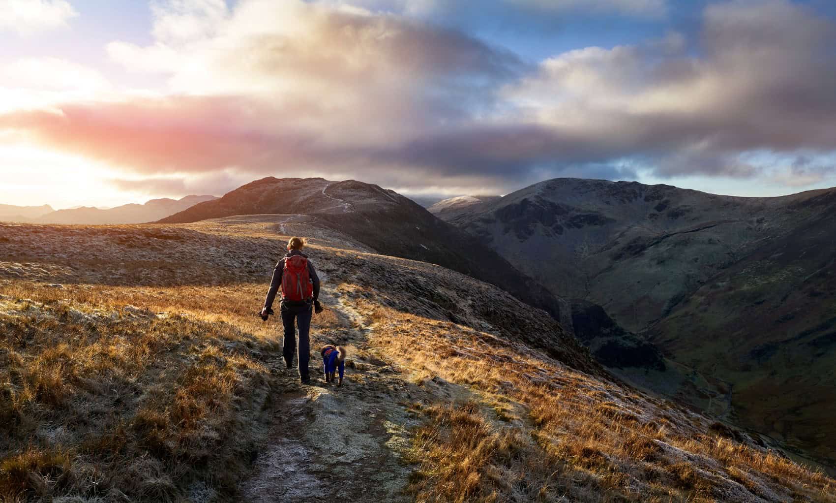 A hiker and their dog walking towards the mountain summit of High Spy from Maiden Moor at sunrise