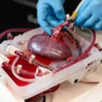 BGF posts strong deal flow and landmark exits in 2025, returning £600m to investors