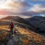 Up 60%, can Vodafone shares continue to rally in 2026?